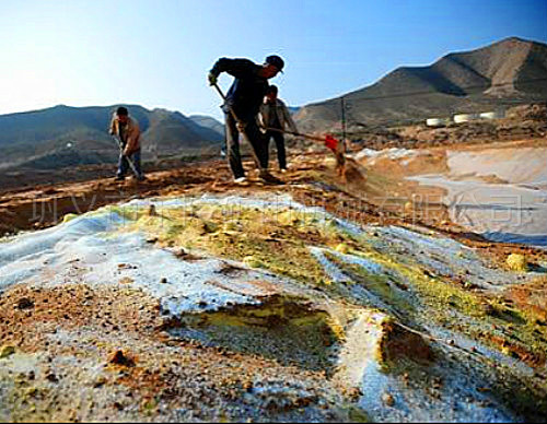 化工企業(yè)退出后,如何讓土壤“活”起來?